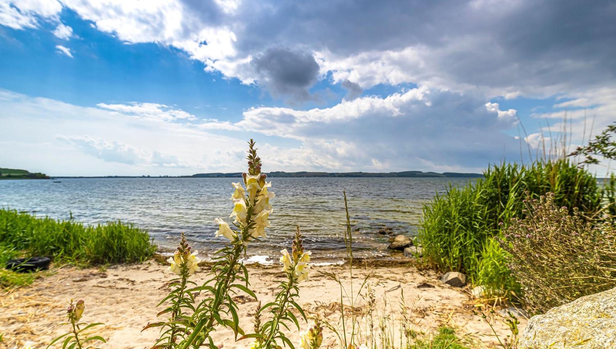 Haus Seeblick Mit 9 Wohnungen Alt Reddevitz Εξωτερικό φωτογραφία